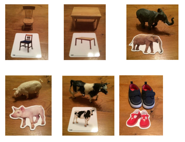matching various pictures to objects