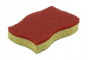 a sponge